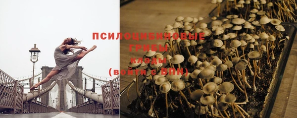 таблы Карпинск