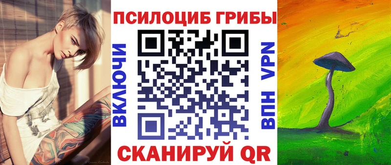 Псилоцибиновые грибы мицелий  Купить  Ачинск 